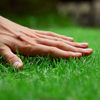 Lawn Care Mill Hill