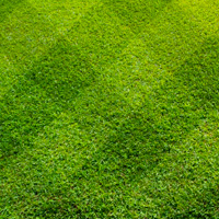 Lawn Care Mill Hill